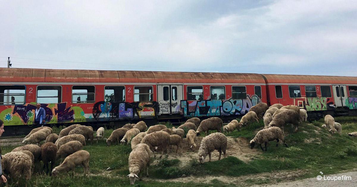 Arte Les Secrets Du Train En Albanie Lettre Du Cheminot